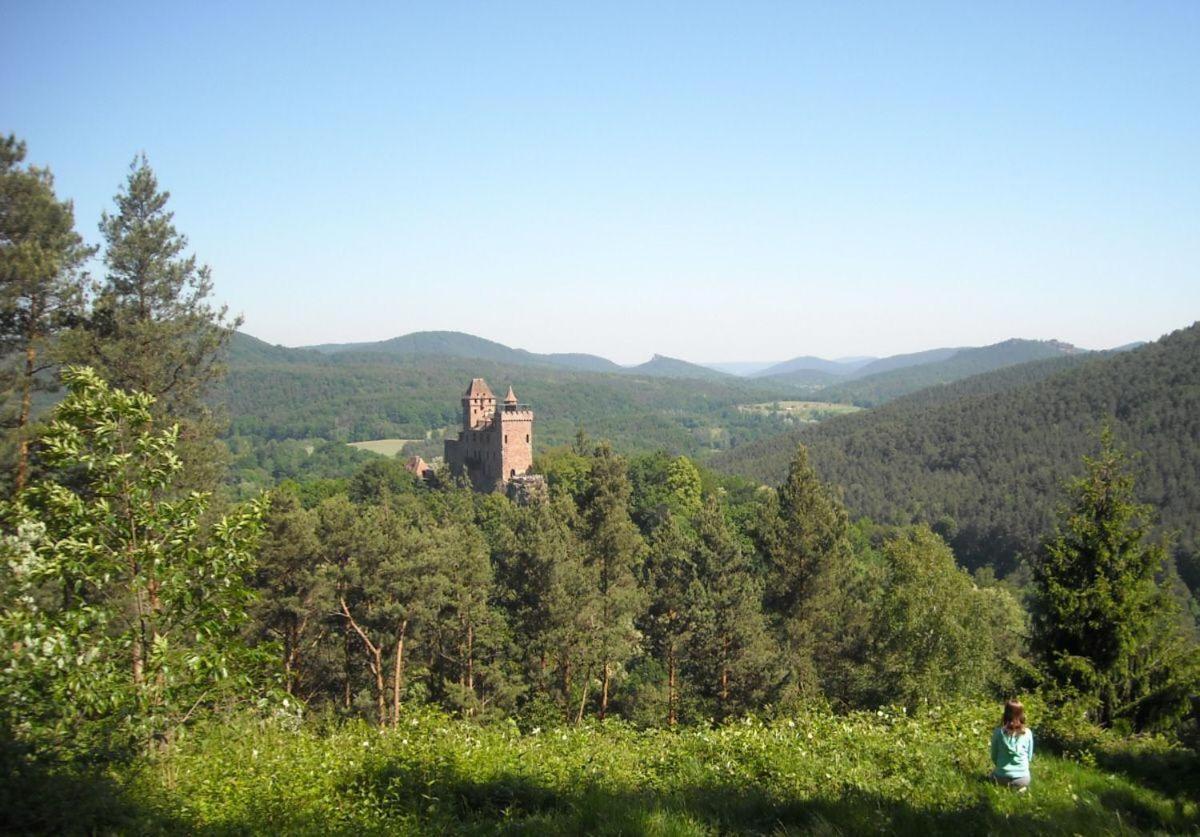 Ferienwohnung "Monte Noble" Suedpfalz Erlenbach  Exterior foto